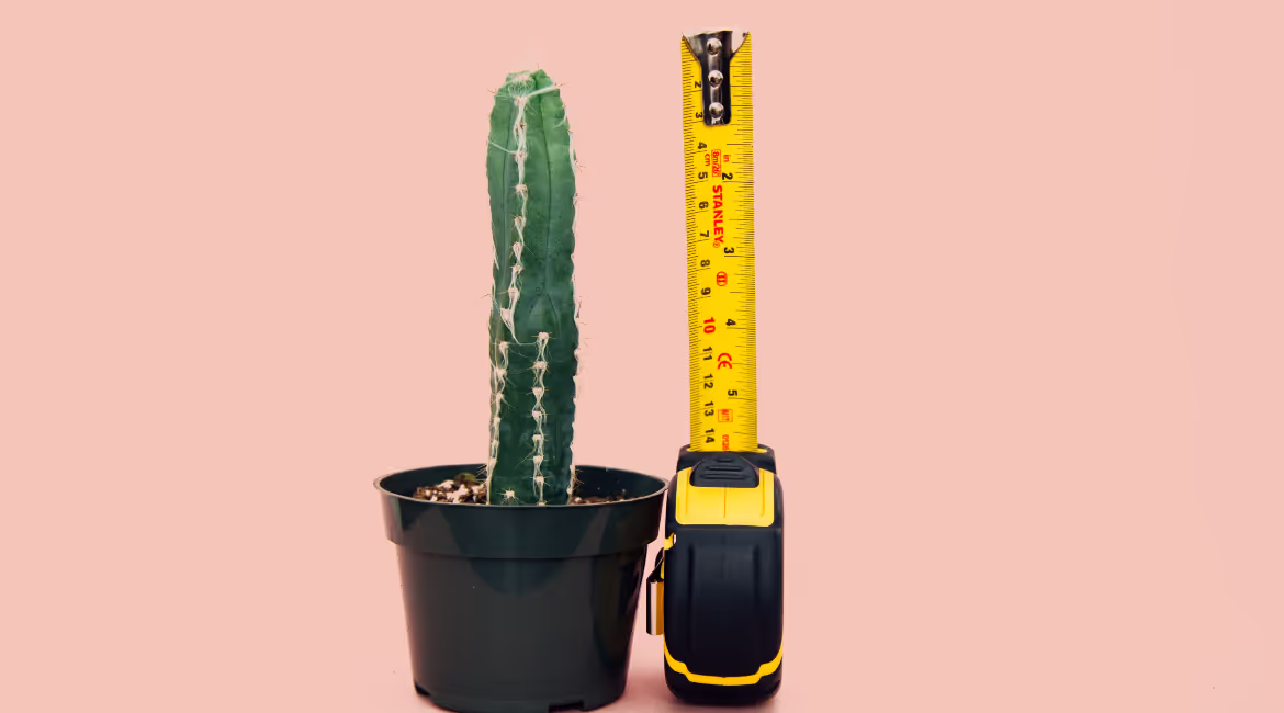 How do you compare to your peers? A collection of external benchmarks for B2B SaaS startups